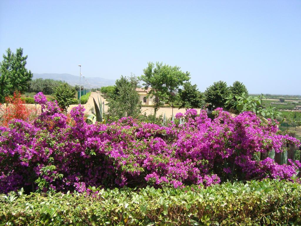 Tenuta Colle Degli Ulivi シーバリ エクステリア 写真